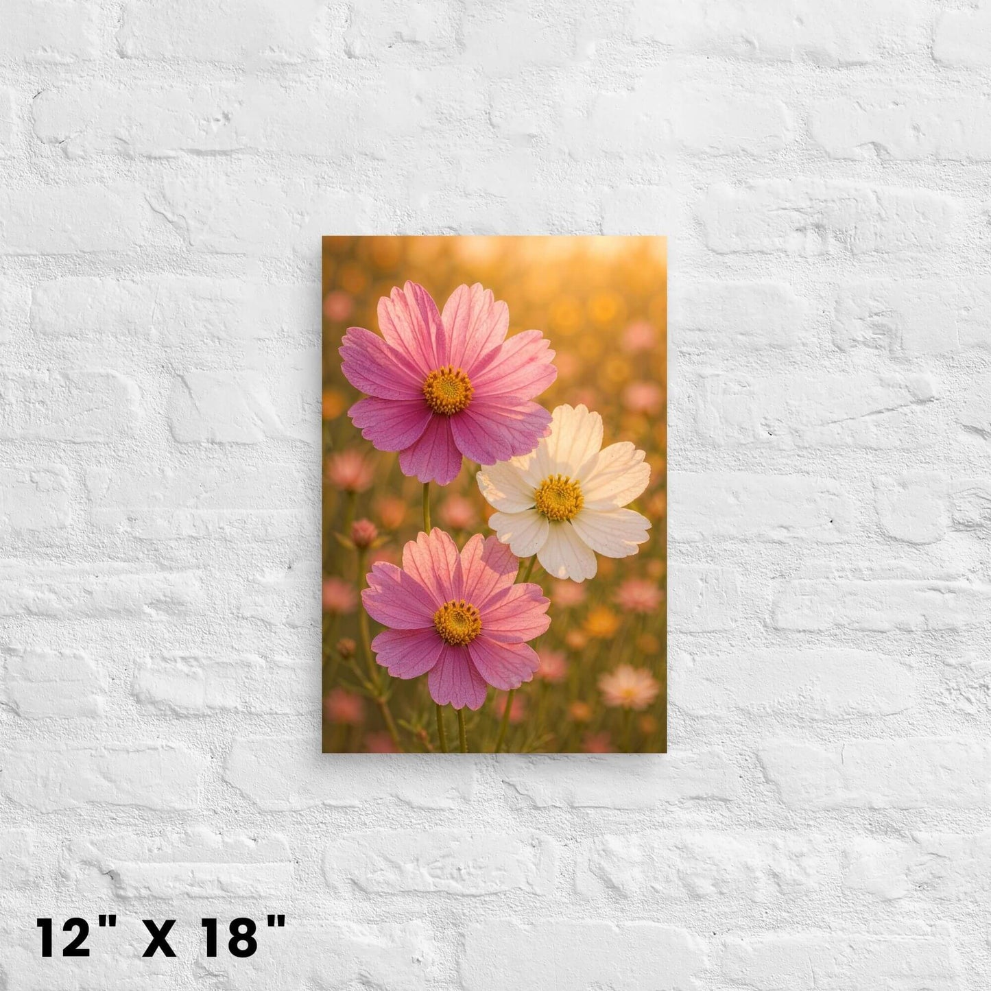 12"x18" canvas print of a pink and white cosmos flower field, shown on a decorative shelf.