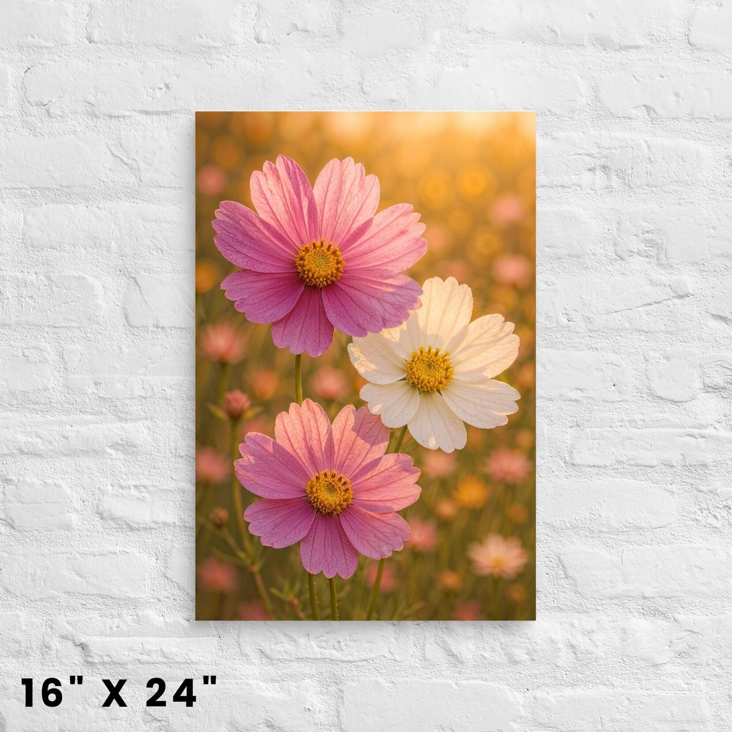 16"x24" canvas print featuring a vibrant cosmos flower field with pink and white blooms, mounted
on a white brick wall.