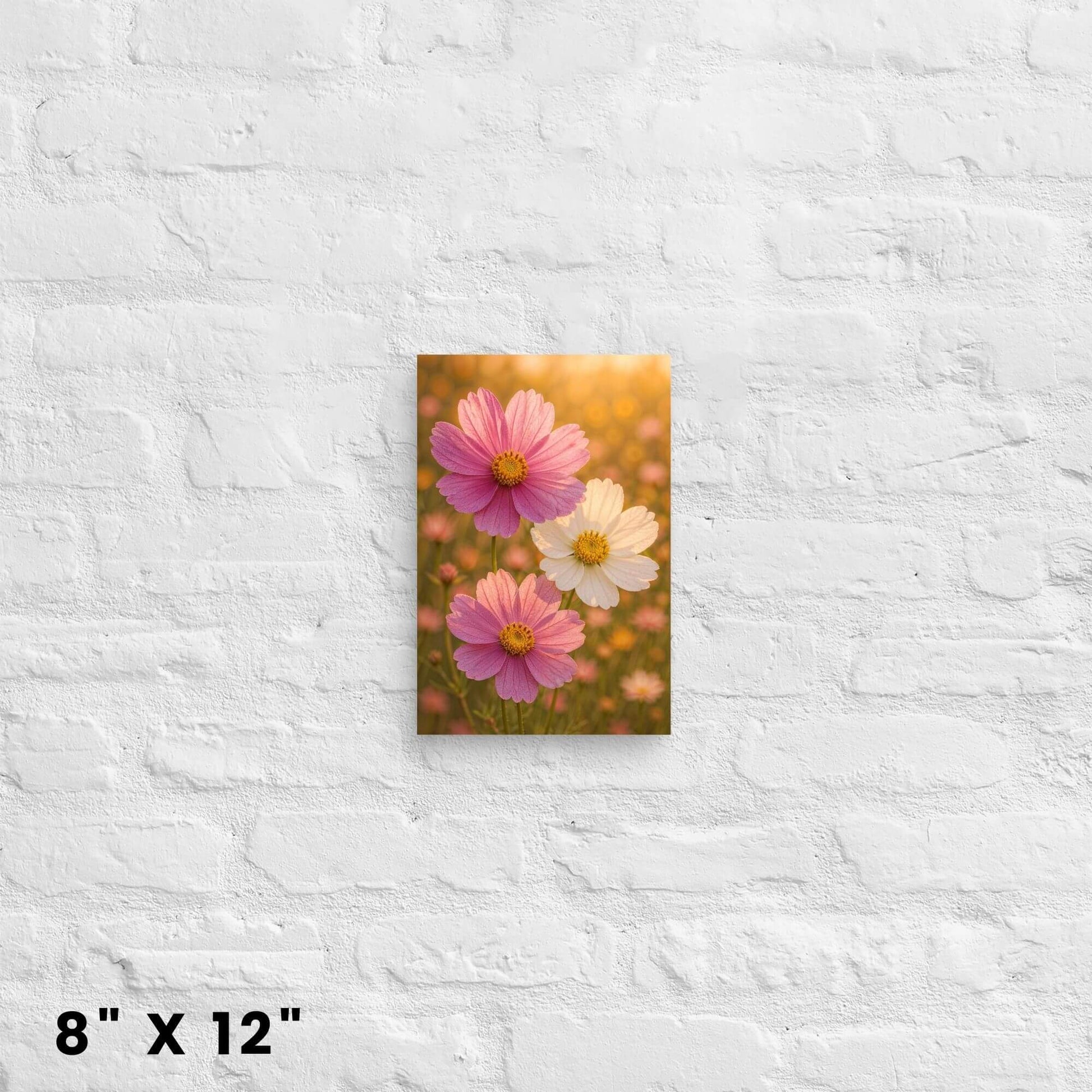 8"x12" floral nature canvas print showcasing a field of pink and white cosmos flowers, mounted on
a white brick wall.