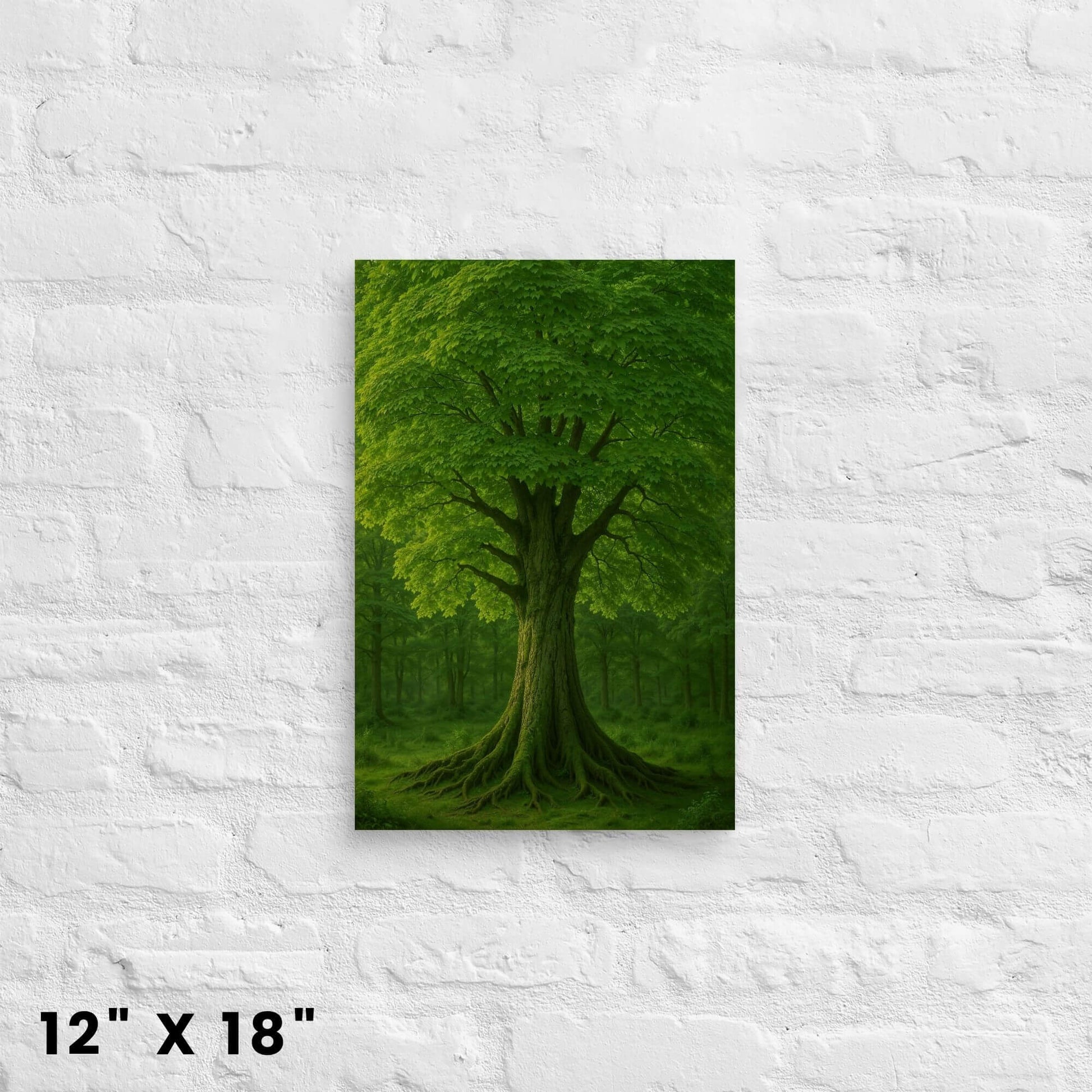 12"x18" canvas print of a green tree with extensive roots in a forest environment, mounted on a
white brick wall.