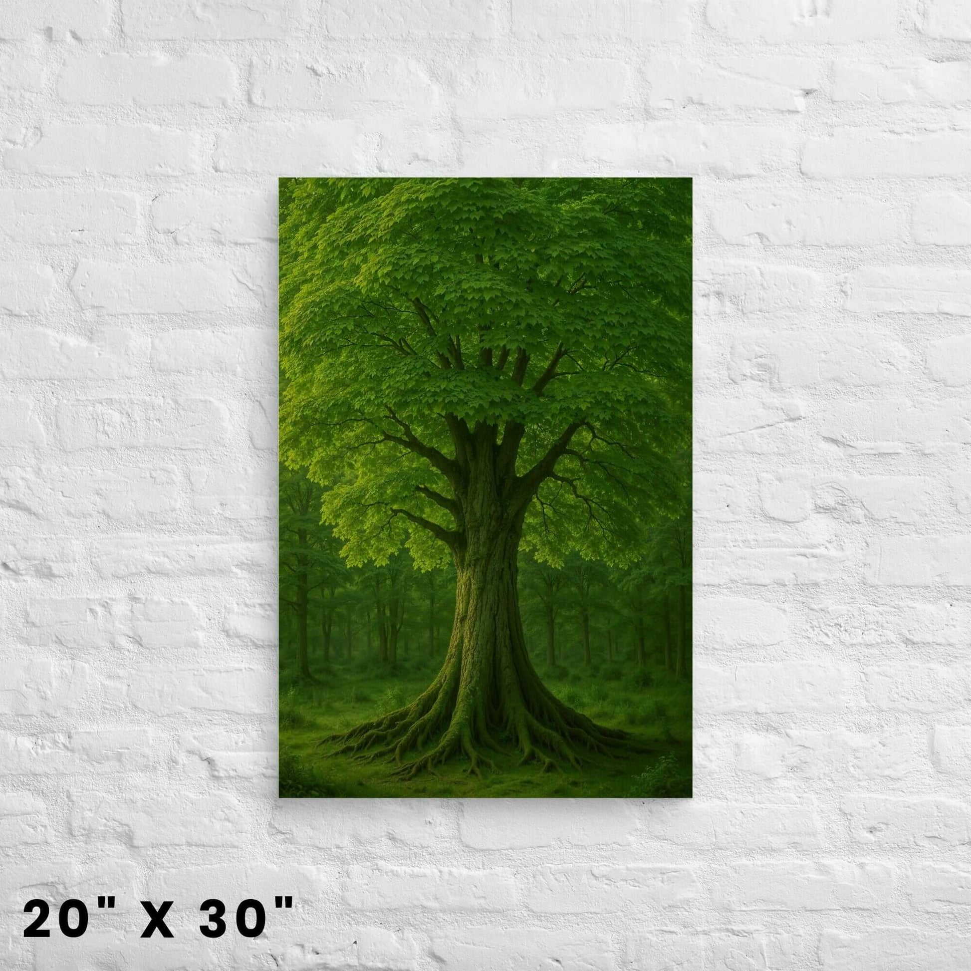 20"x30" canvas print of a detailed green tree with exposed roots in a forest, hanging on a white
brick wall.