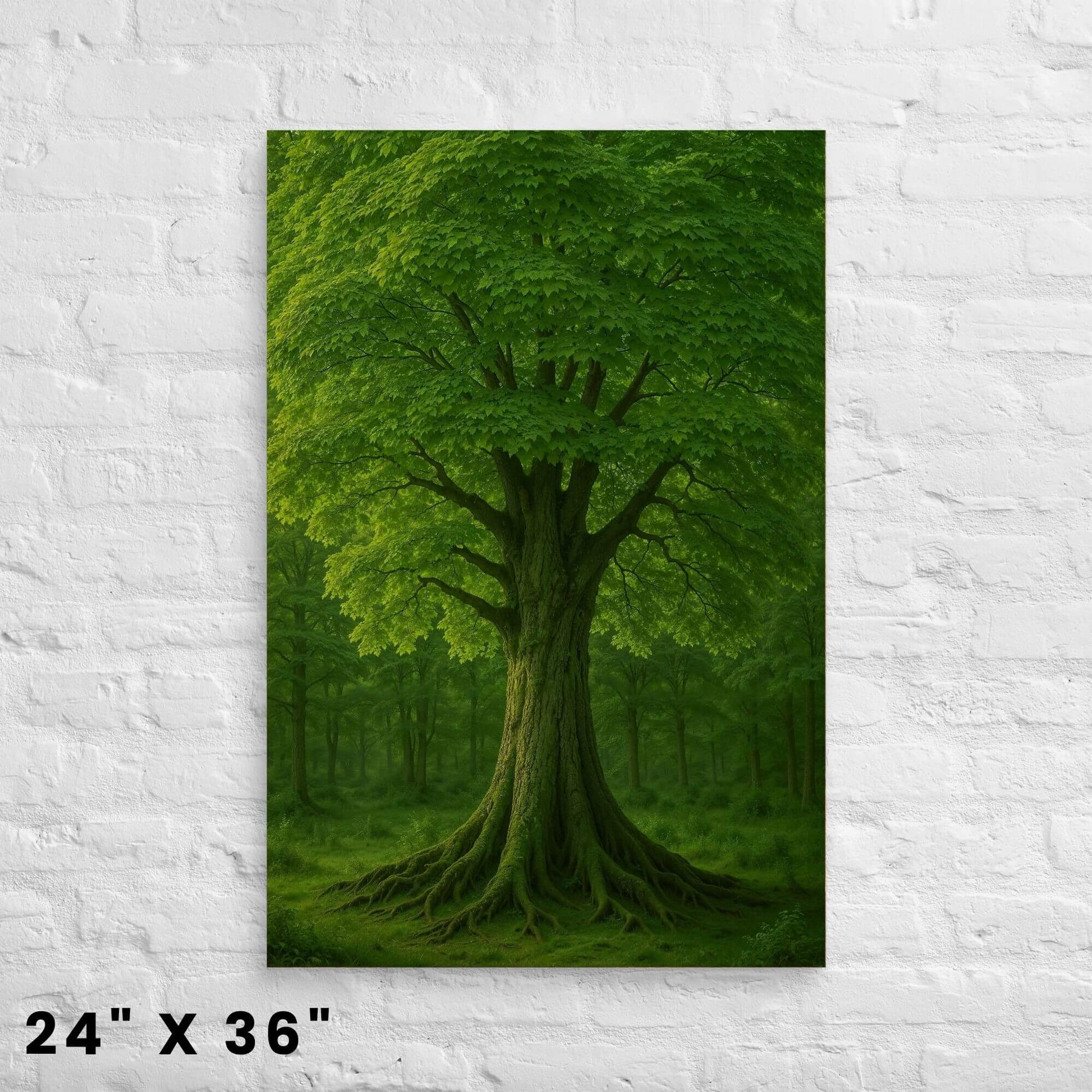 24"x36" canvas print depicting a large green tree with spreading roots in a forest, mounted on a
white brick wall.