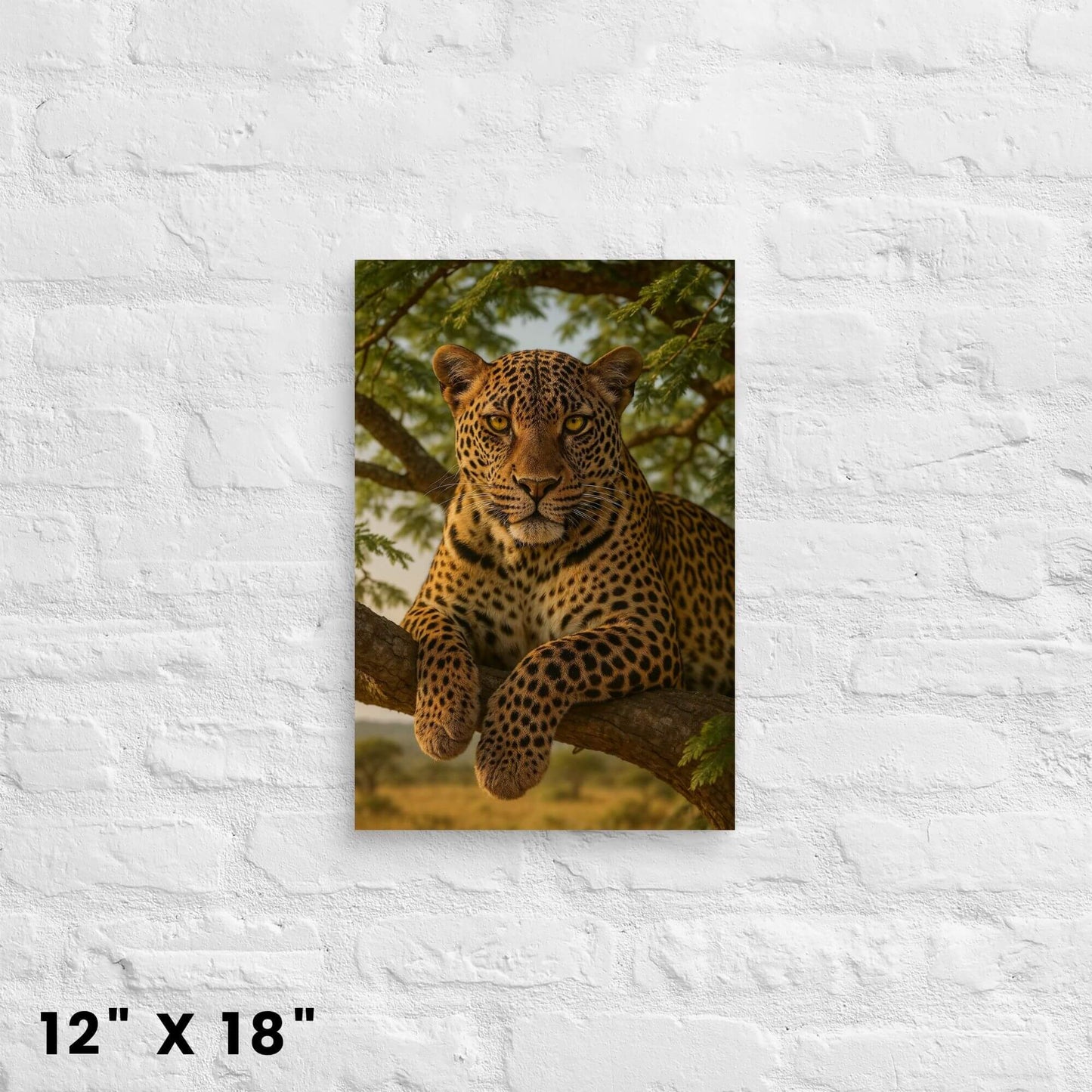 12 × 18-inch wildlife leopard canvas accent featuring a poised big cat on a tree limb, perfect for a white-brick wall.