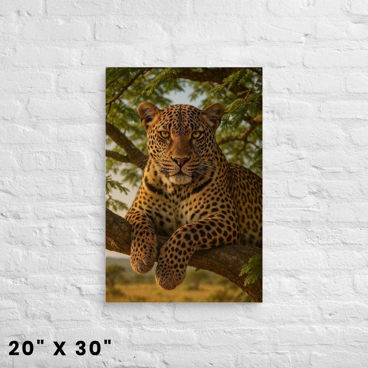 20 × 30-inch acacia-tree leopard canvas wall art with golden savanna backdrop displayed on a clean white-brick surface.