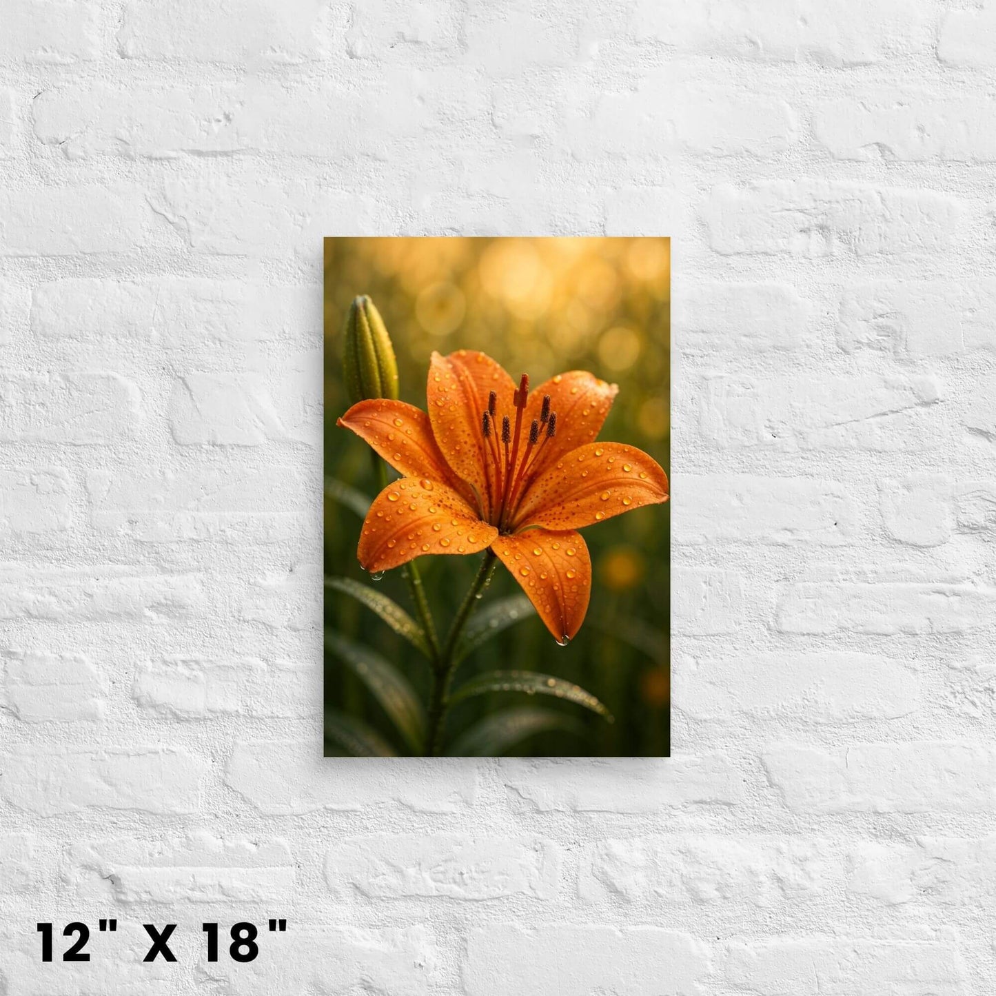 12"x18" canvas print of a vivid orange lily with water droplets, mounted on a white brick wall.