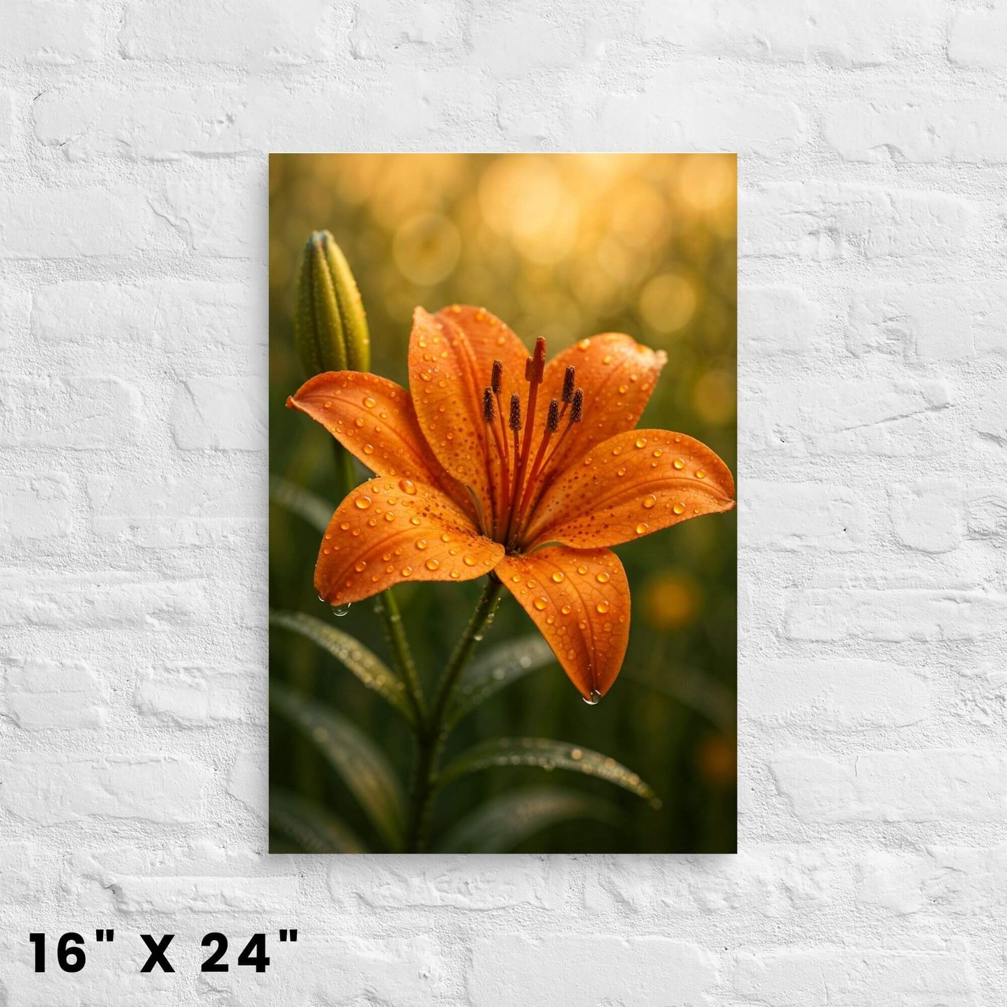 16"x24" canvas print featuring a detailed orange lily with glistening water drops, displayed on a
white brick wall.