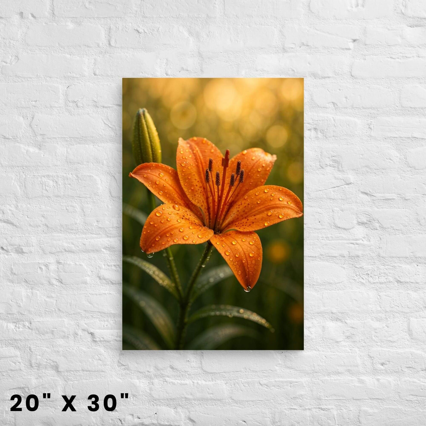 20"x30" canvas print depicting a beautiful orange lily with water droplets, hanging on a white brick
wall.