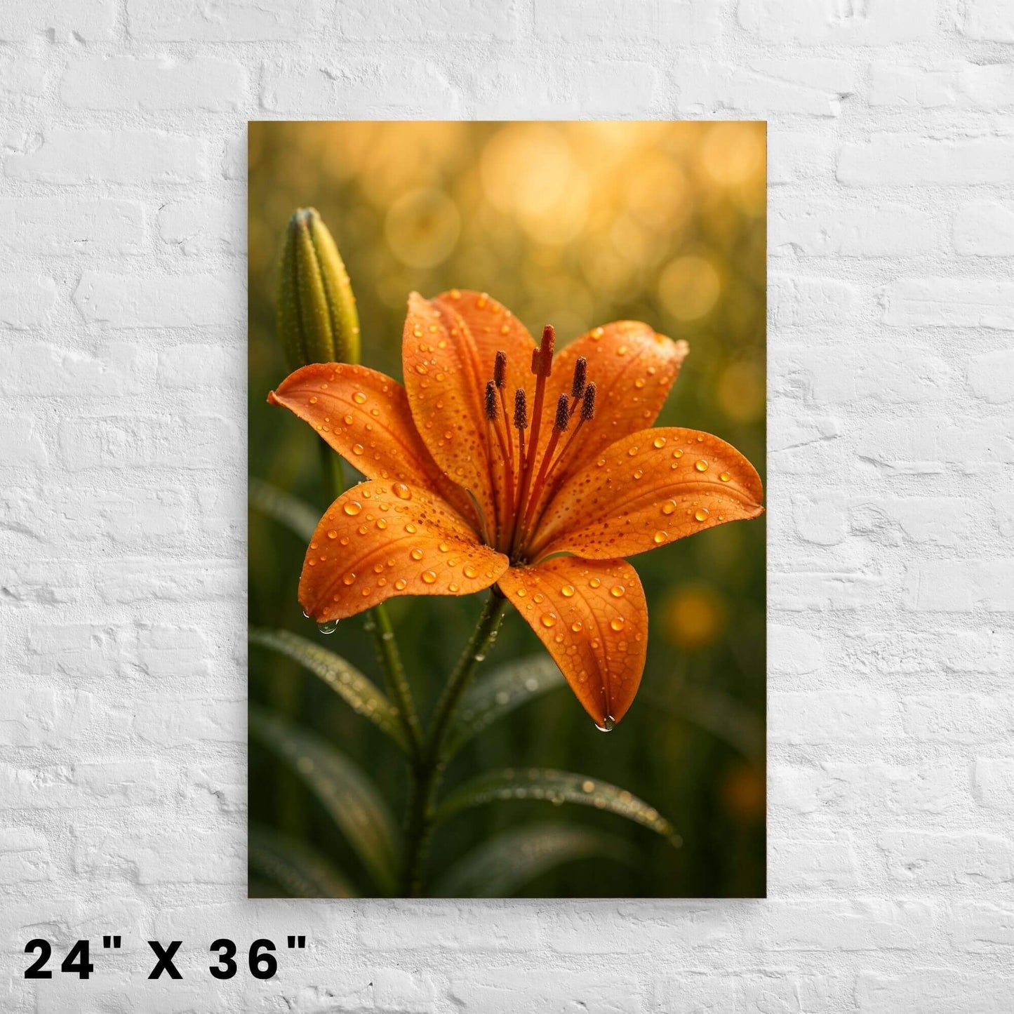 24"x36" canvas print of a striking orange lily with water drops, mounted on a white brick wall.