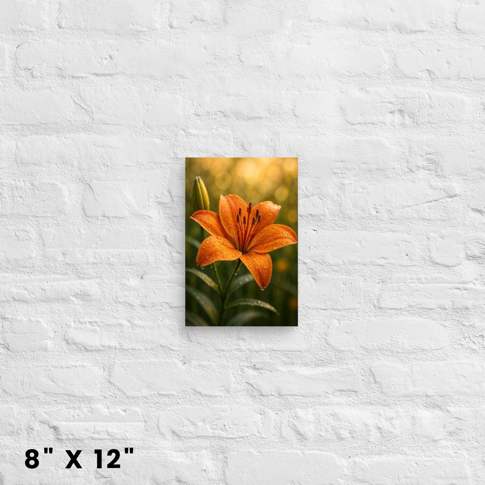 8"x12" canvas print showcasing a close-up of an orange lily with water drops, hanging on a white
brick wall.
